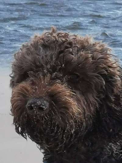 Fotochallange Nr. 57     PORTRÄT.   Beendet!!!!!!!!-Beitrag-Bild