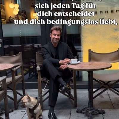 aktuelles Foto Gruppe Französische Bulldogge