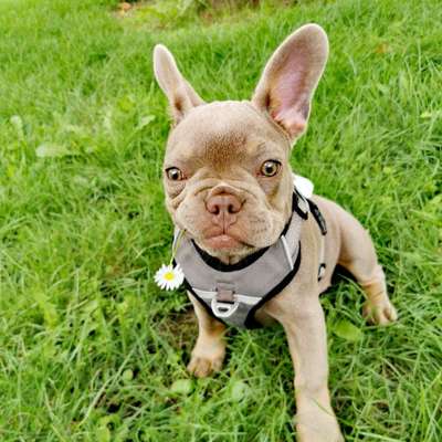 Sindy+Resi's Profilbild