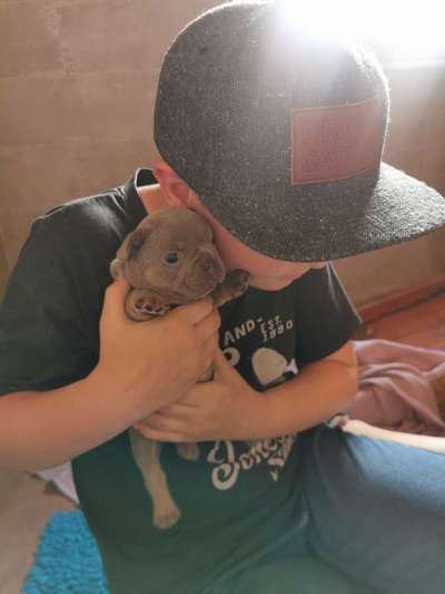 Wie kamst du zu deinem Hund?-Beitrag-Bild