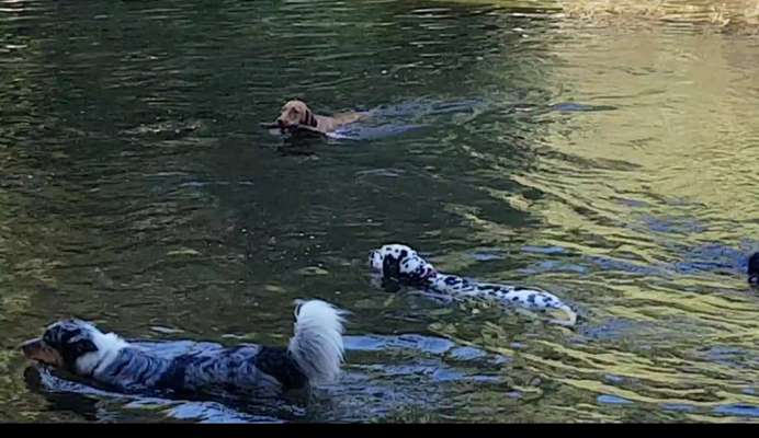 Fotochallenge 27-Beitrag-Bild