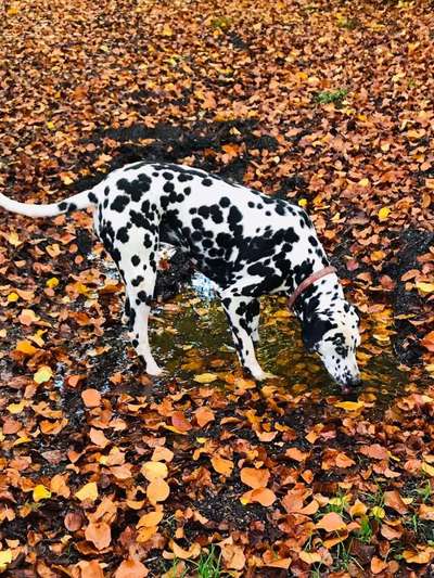 Foto Challenge - BEENDET - bitte aktuelle Challenge nutzen-Beitrag-Bild