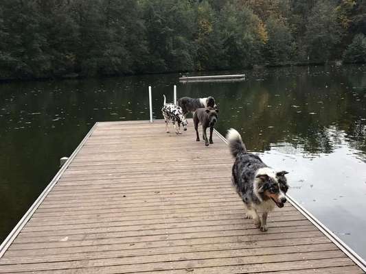 Foto Challenge - BEENDET - bitte aktuelle Challenge nutzen-Beitrag-Bild