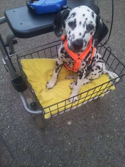 Foto Challenge 3-Beitrag-Bild