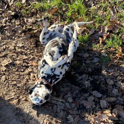 Fotochallenge Nr.65-Beitrag-Bild