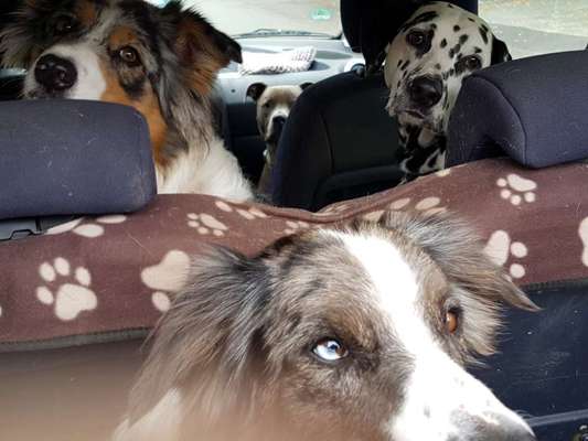 CHALLENGE NR. 18 - ON TOUR-Beitrag-Bild