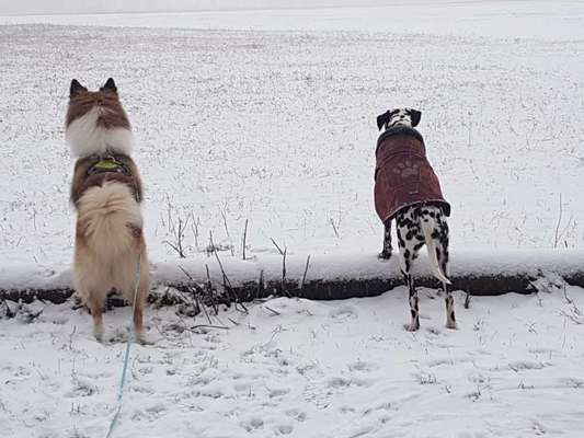 Challenge Nr. 15
Spiel im Schnee-Beitrag-Bild