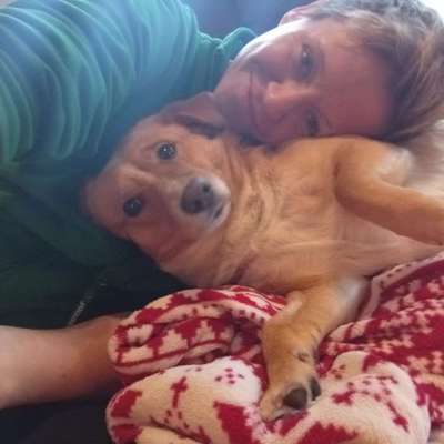 Hundetreffen-Gassi Runde-Profilbild