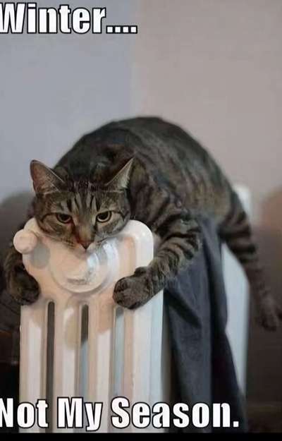 Was hat euch heute genervt?-Beitrag-Bild