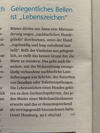 Hundegebell in Mietswohnung-Beitrag-Bild