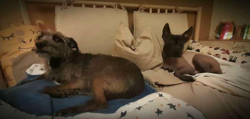 Freddys Kummerkasten-Beitrag-Bild