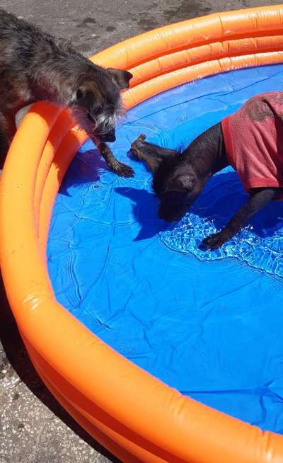 Freddys Kummerkasten-Beitrag-Bild