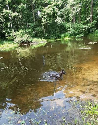 Freddys Kummerkasten-Beitrag-Bild