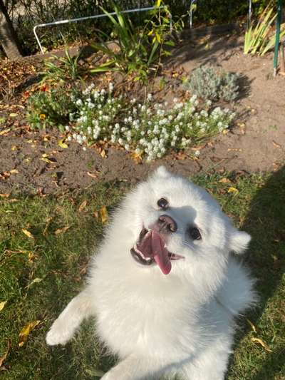 Lustige Grimassen & verrückte Posen-Beitrag-Bild