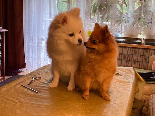 Fotochallenge liebespaare-Beitrag-Bild