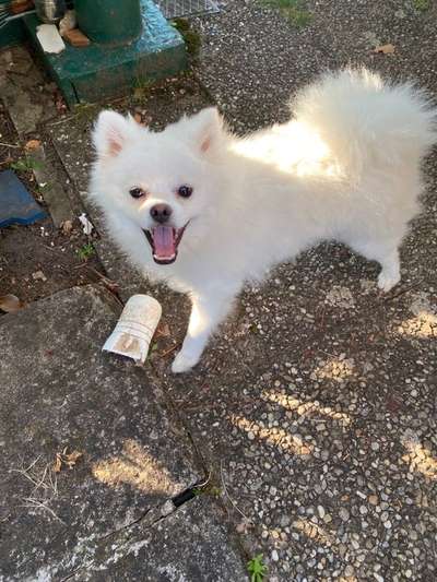 Von oben-Beitrag-Bild