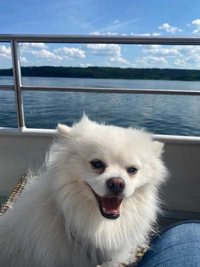 Fotochallenge Nr.100 Urlaubsimpressionen-Beitrag-Bild