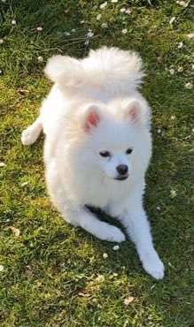 Fotowettbewerb Natur-Beitrag-Bild