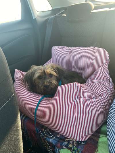 Erfahrungen mit Vomex A bei Reiseübelkeit-Beitrag-Bild