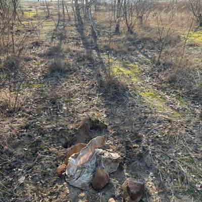 Giftköder-Laken mit "Inhalt"-Bild