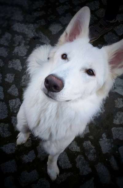 Von oben-Beitrag-Bild