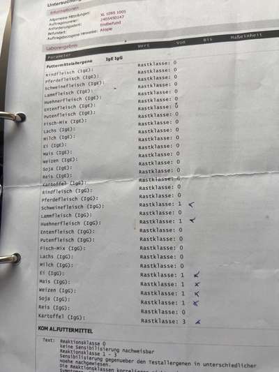 Diätfutter - ohne Kartoffel und Getreide-Beitrag-Bild