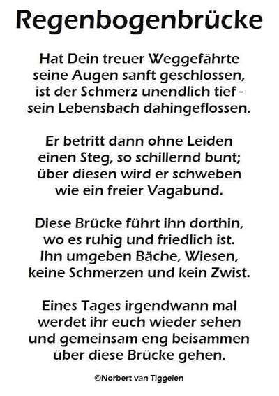 Regenbogenbrücke-Beitrag-Bild
