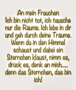 Regenbogenbrücke-Beitrag-Bild