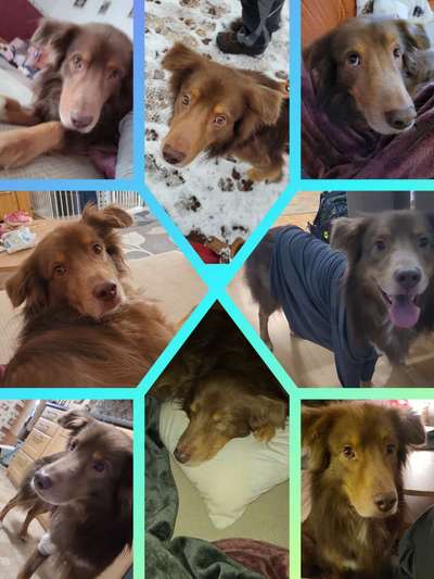 23. Collagen-Challenge: Portraits-Beitrag-Bild