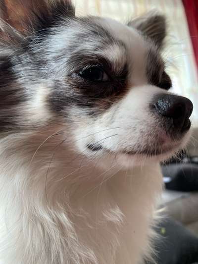 Austausch zur Fotografie-Beitrag-Bild