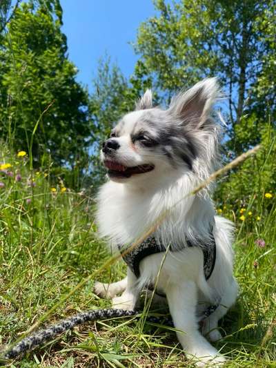 Austausch zur Fotografie-Beitrag-Bild