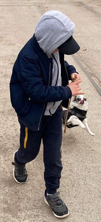 Lustigsten Grimassen von euren Hunden-Beitrag-Bild