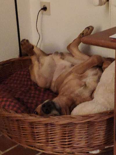 Im Bett schlafen-Beitrag-Bild