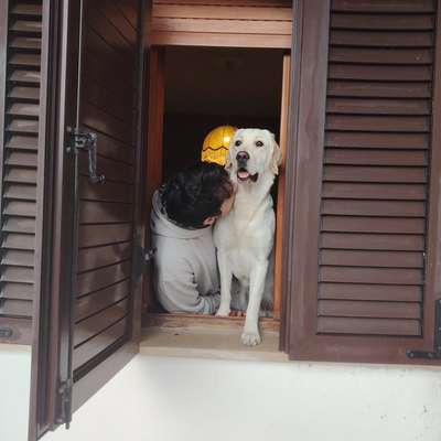 Hundetreffen-Marsiglia sucht neue Freunde-Bild