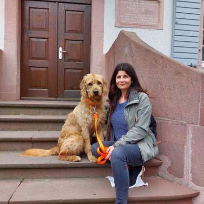 Hundetreffen-Gemeinsame Gassirunde in und um Denzlingen