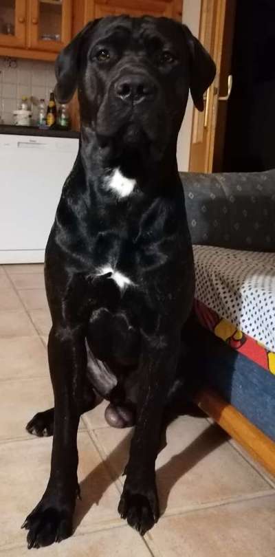 Doppelgänger gesucht !-Beitrag-Bild