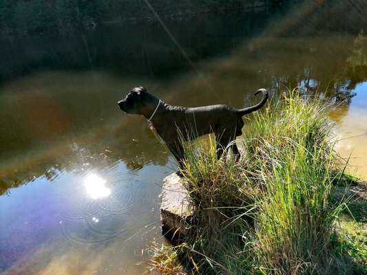 Fotochallenge 101:
On Tour-Beitrag-Bild