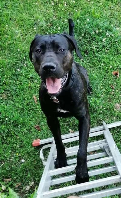 Handy-Foto Challange Nr. 10-Beitrag-Bild