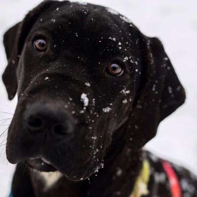 Handy-Foto-Challange Nr.9-Beitrag-Bild