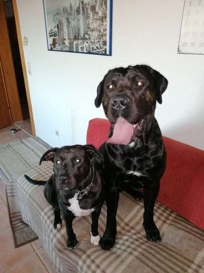 Handyfoto challenge Nr. 13: Waschlappen raus!-Beitrag-Bild