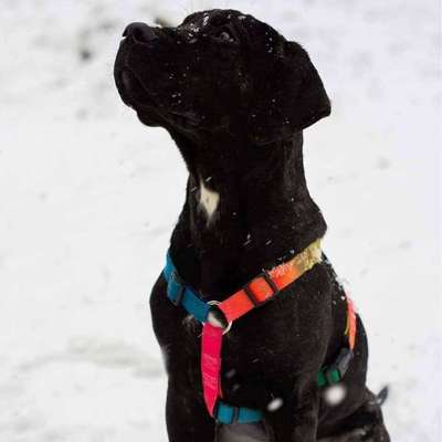 Handy-Foto Challange Nr. 10-Beitrag-Bild