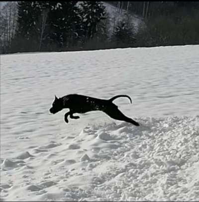 Handy-Foto-Challange Nr.9-Beitrag-Bild