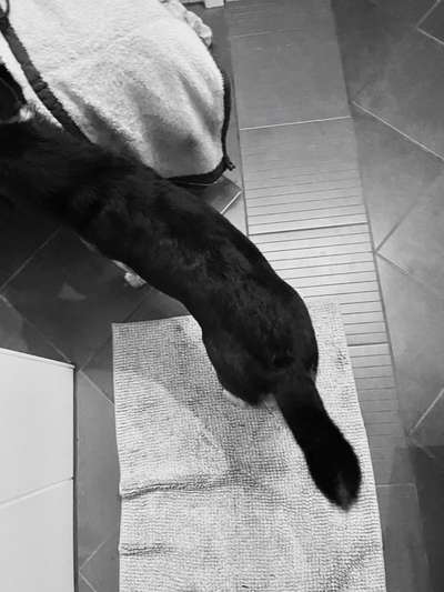 Der Gewichts-Thread-Beitrag-Bild