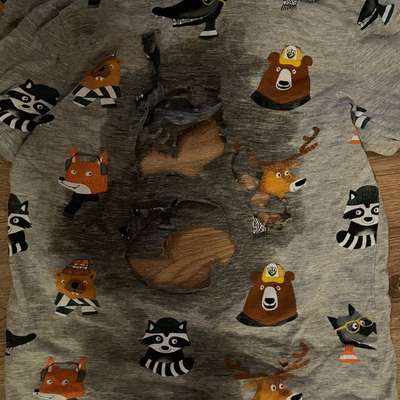 aktuelles Foto Gruppe Labrador