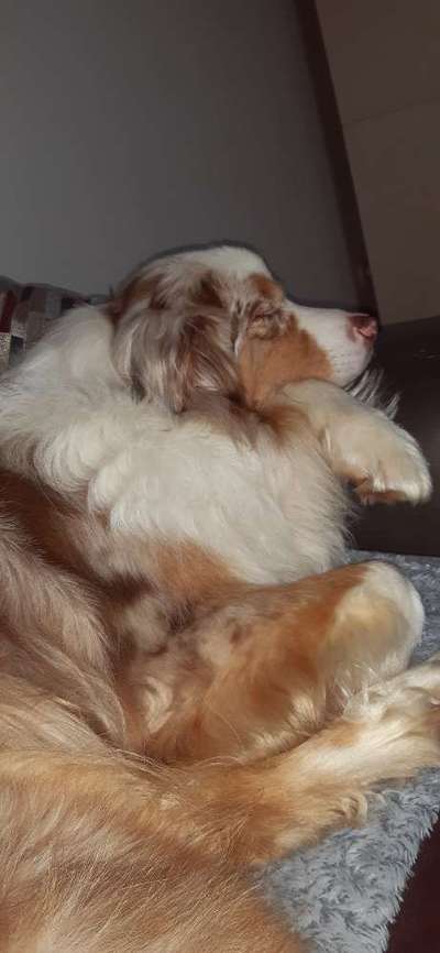 CHALLENGE NR. 34 - Liege-/Schlafpositionen-Beitrag-Bild