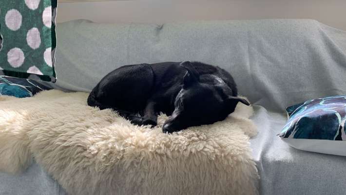 Fotochallange - Eingekugelt-Beitrag-Bild