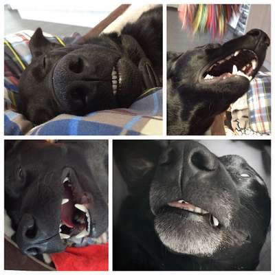 26. Collagen Challenge- Zeigt her eure Zähne-Beitrag-Bild