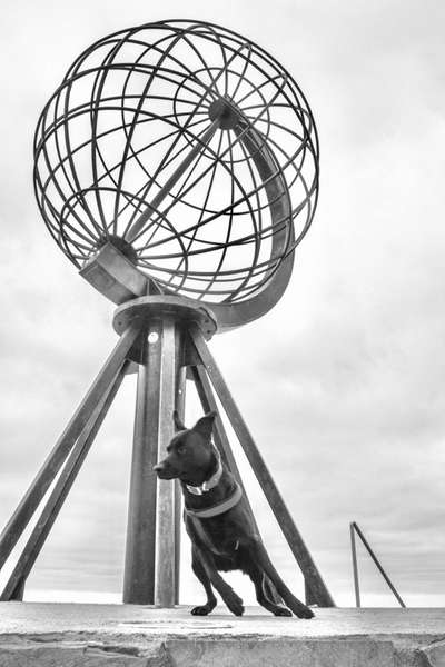 3. Farben/Fotochallenge: Schwarz/Weiß-Beitrag-Bild