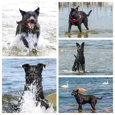 Eure schönsten Fotos mit Wasser-Beitrag-Bild