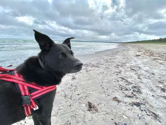 17. Farben Foto Challenge: Pastellfarben-Beitrag-Bild